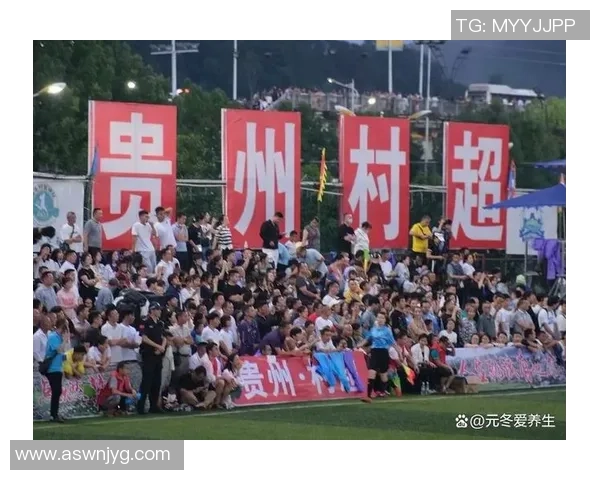 安徽我爱足球热情高涨球迷齐聚共庆足球盛宴